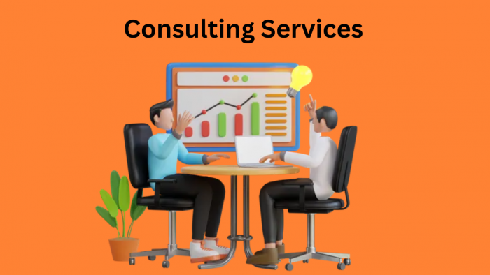 Learn How To Do Consulting Services With SkillTime